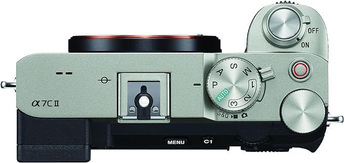 Sony Alpha 7C Review 5